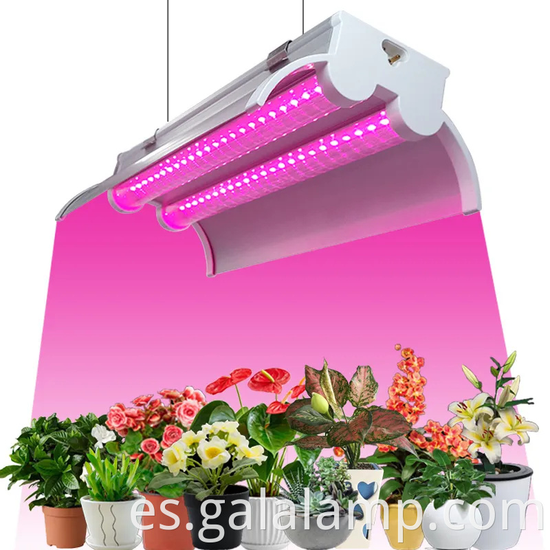 Luz de cultivo LED de espectro T8 completo para el crecimiento de las plantas interiores